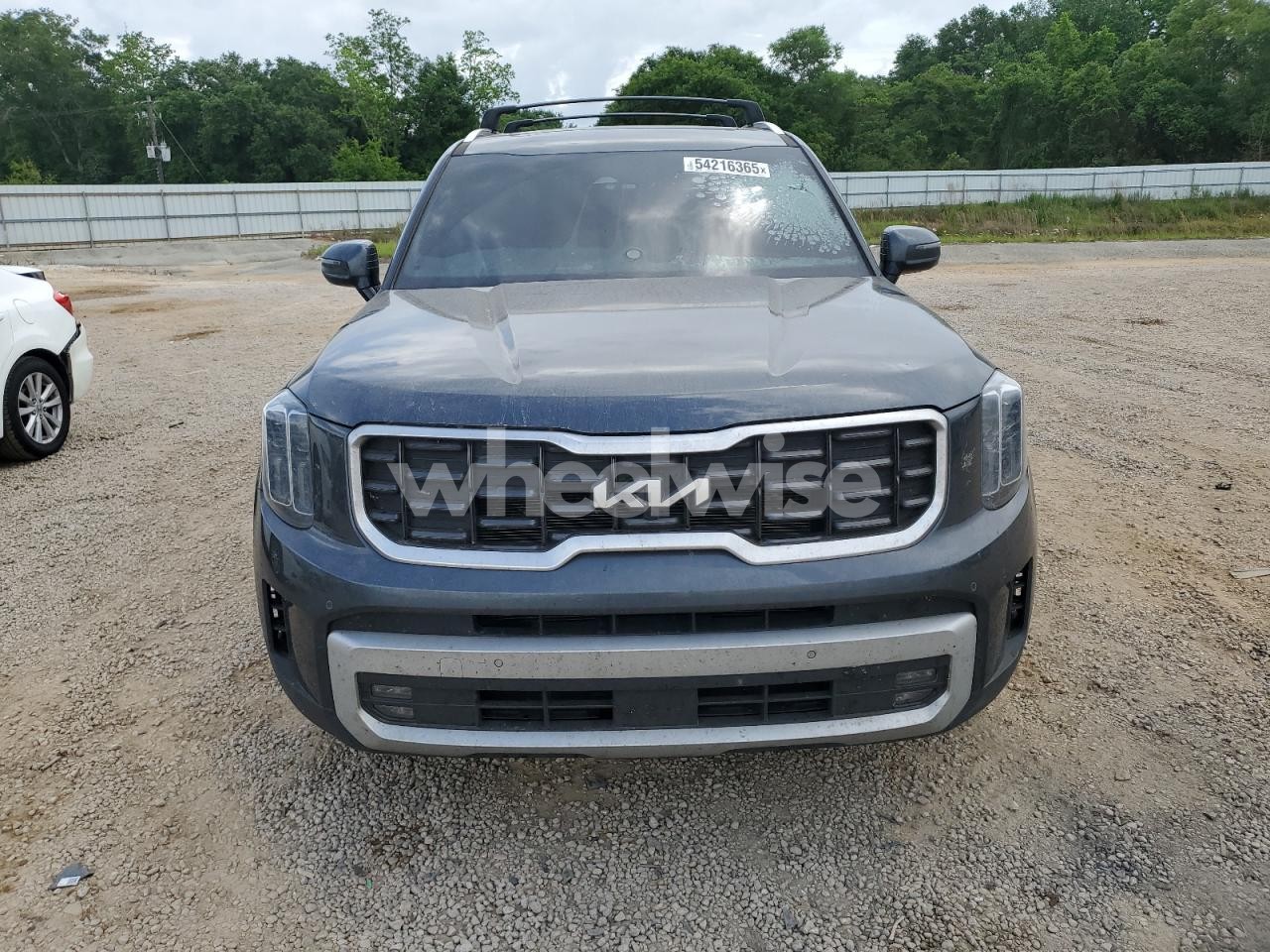 Photo 5 of 2024 KIA TELLURIDE SX (VIN 5XYP5DGC0RG441576)