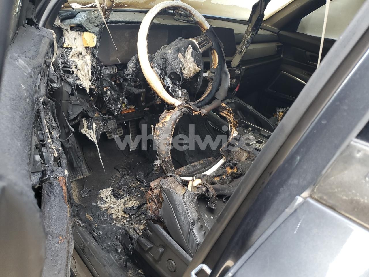 Photo 8 of 2024 KIA TELLURIDE SX (VIN 5XYP5DGC0RG441576)