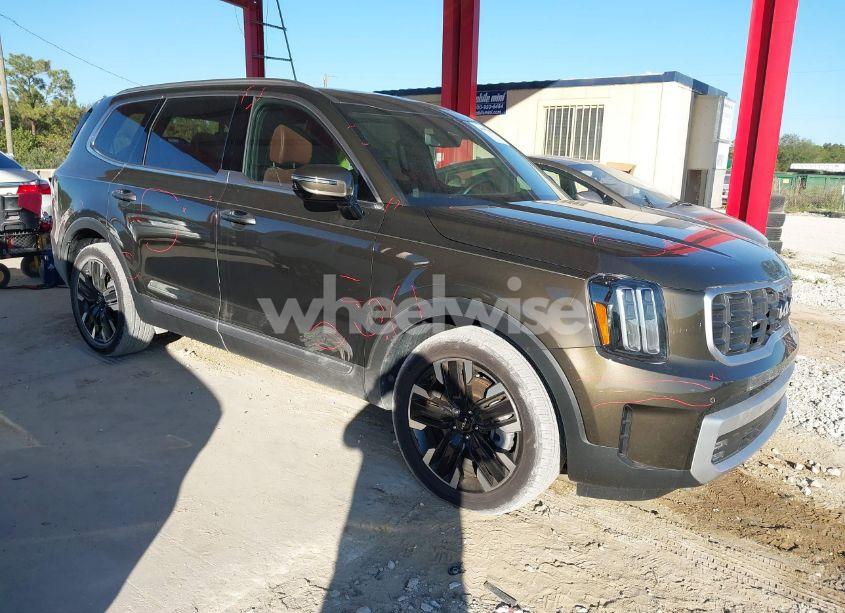2024 Kia Telluride SX PRESTIGE (VIN 5XYP5DGC0RG501131) main photo
