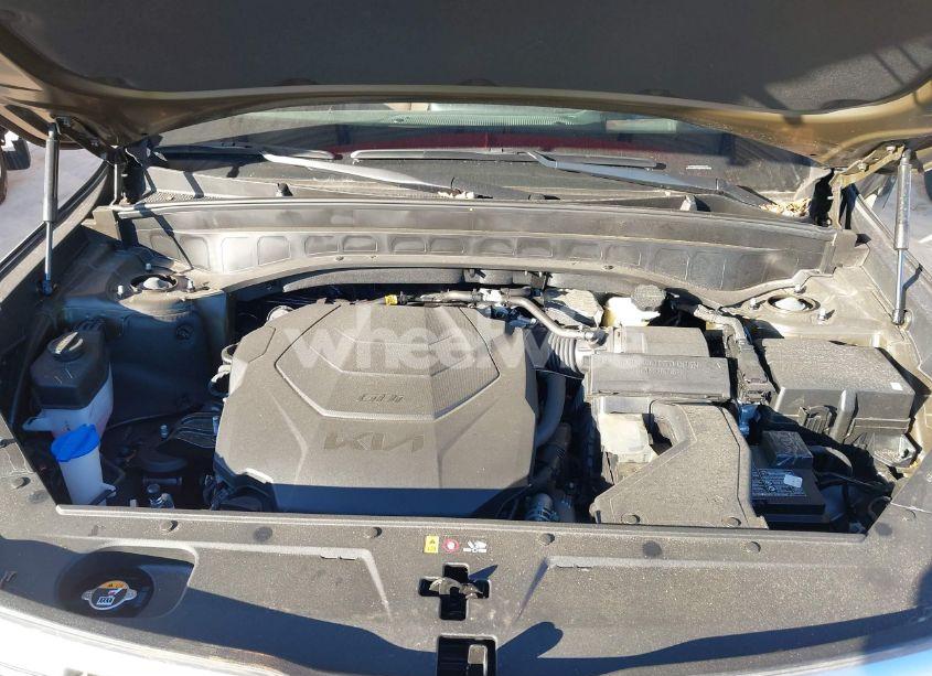 Photo 10 of 2024 Kia Telluride SX PRESTIGE (VIN 5XYP5DGC0RG501131)