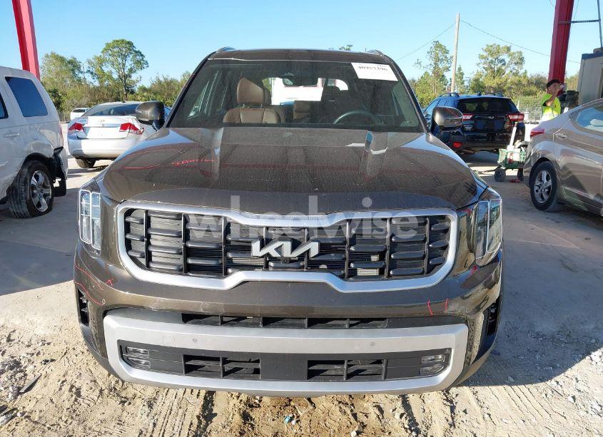 Photo 12 of 2024 Kia Telluride SX PRESTIGE (VIN 5XYP5DGC0RG501131)