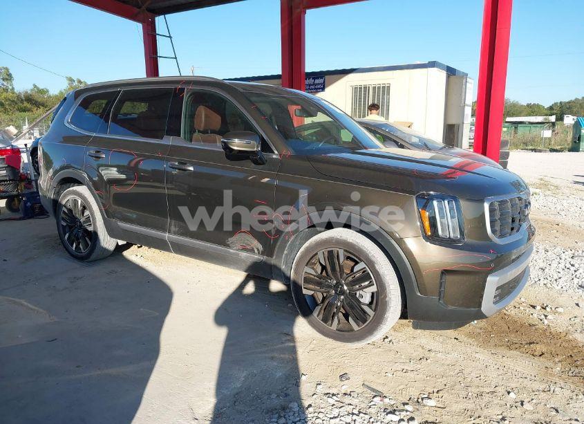 Photo 13 of 2024 Kia Telluride SX PRESTIGE (VIN 5XYP5DGC0RG501131)