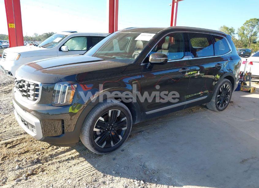 Photo 2 of 2024 Kia Telluride SX PRESTIGE (VIN 5XYP5DGC0RG501131)