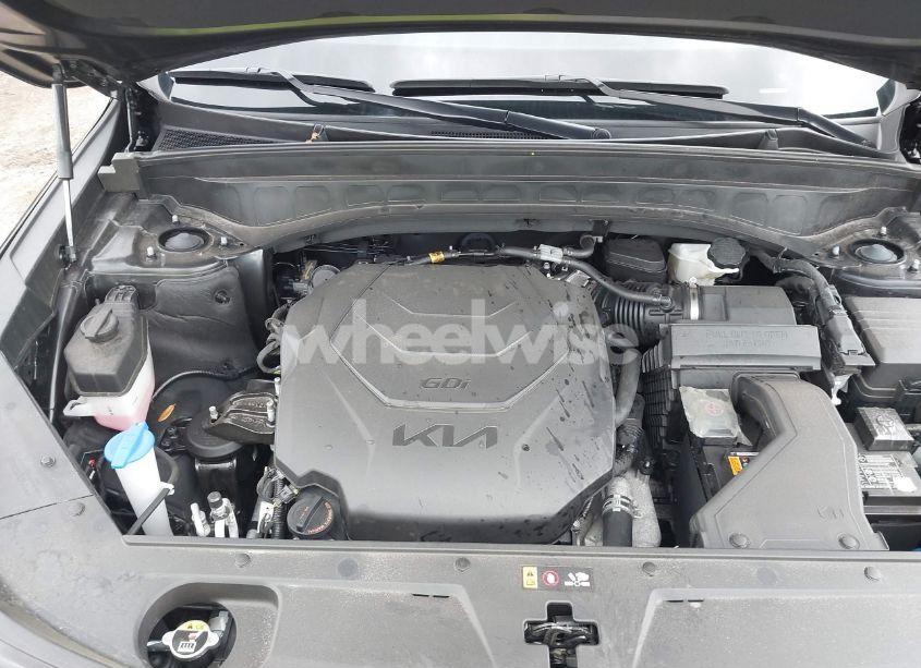 Photo 10 of 2024 Kia Telluride SX X-PRO (VIN 5XYP5DGC1RG435995)