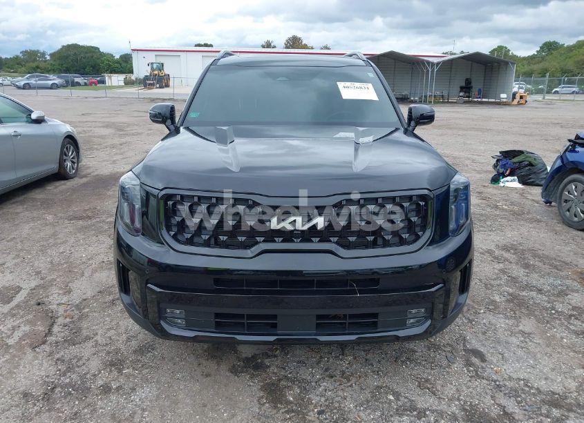 Photo 11 of 2024 Kia Telluride SX X-PRO (VIN 5XYP5DGC1RG435995)