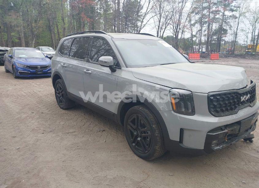 2024 Kia Telluride SX X-LINE (VIN 5XYP5DGC1RG483500) main photo