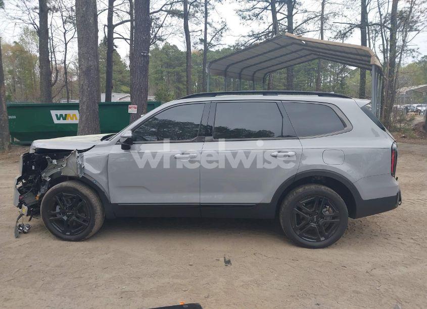 Photo 14 of 2024 Kia Telluride SX X-LINE (VIN 5XYP5DGC1RG483500)
