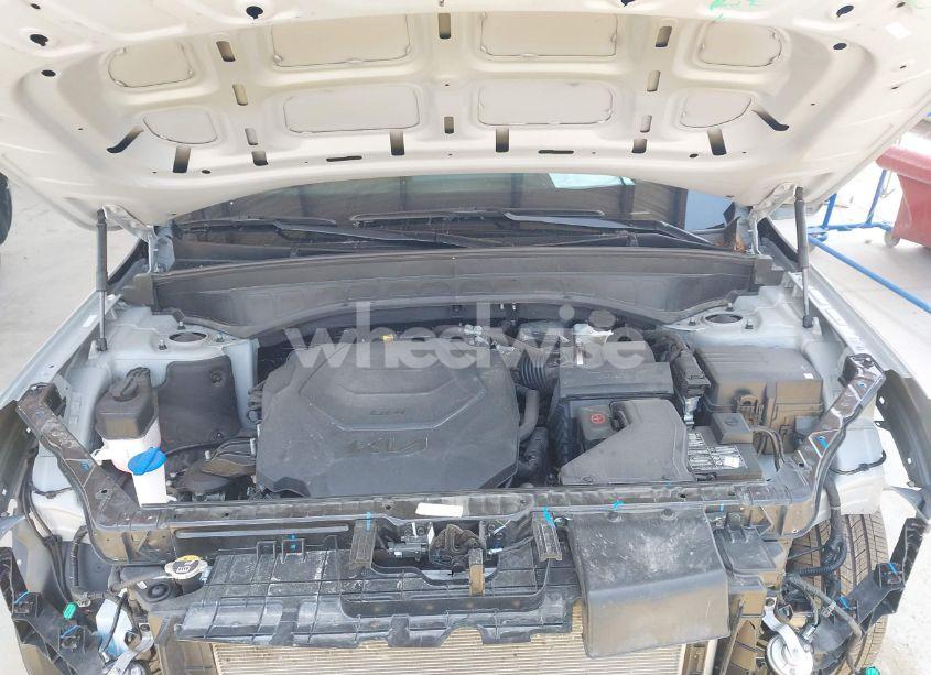 Photo 10 of 2025 Kia Telluride SX PRESTIGE X-LINE (VIN 5XYP5DGC1SG568536)