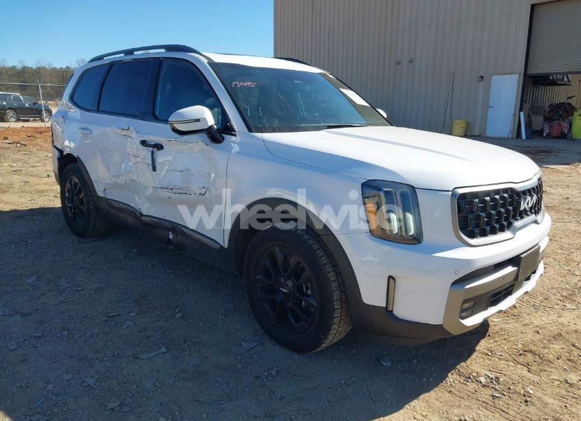 2023 Kia Telluride SX X-PRO (VIN 5XYP5DGC2PG341623) main photo