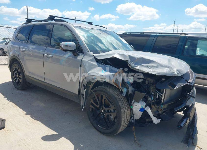 2024 Kia Telluride SX PRESTIGE X-LINE (VIN 5XYP5DGC2RG492156) main photo