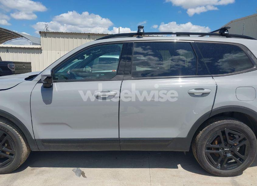 Photo 14 of 2024 Kia Telluride SX PRESTIGE X-LINE (VIN 5XYP5DGC2RG492156)