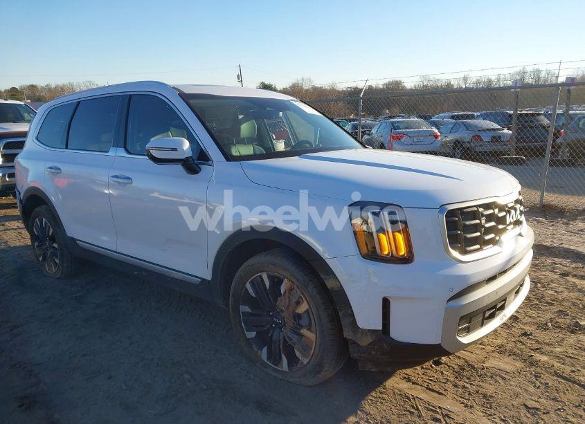 2024 Kia Telluride SX PRESTIGE (VIN 5XYP5DGC2RG544613) main photo