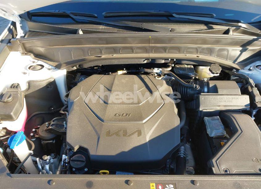 Photo 10 of 2024 Kia Telluride SX PRESTIGE (VIN 5XYP5DGC2RG544613)