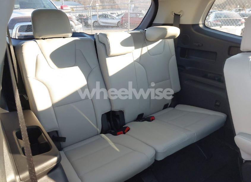 Photo 12 of 2024 Kia Telluride SX PRESTIGE (VIN 5XYP5DGC2RG544613)