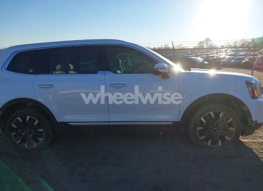 Photo 14 of 2024 Kia Telluride SX PRESTIGE (VIN 5XYP5DGC2RG544613)