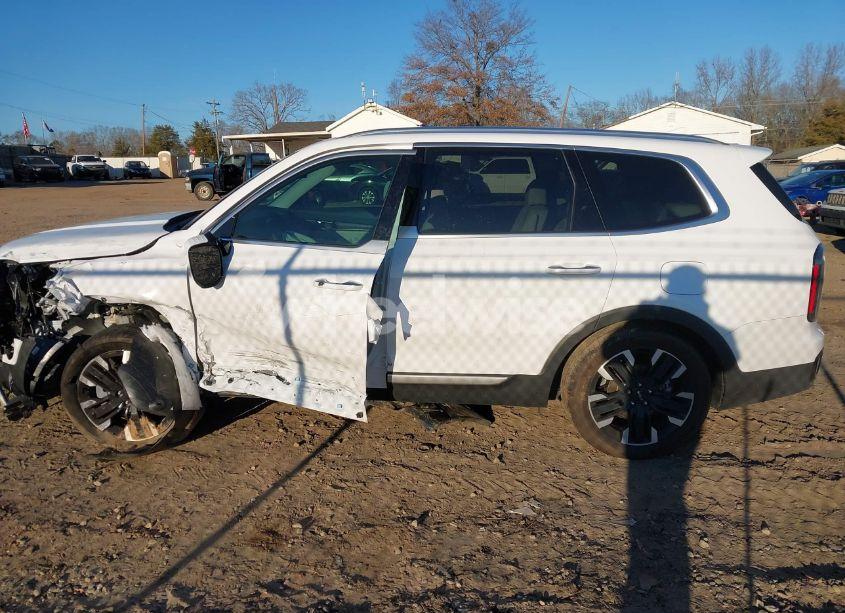 Photo 15 of 2024 Kia Telluride SX PRESTIGE (VIN 5XYP5DGC2RG544613)