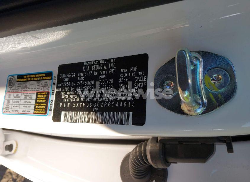 Photo 9 of 2024 Kia Telluride SX PRESTIGE (VIN 5XYP5DGC2RG544613)