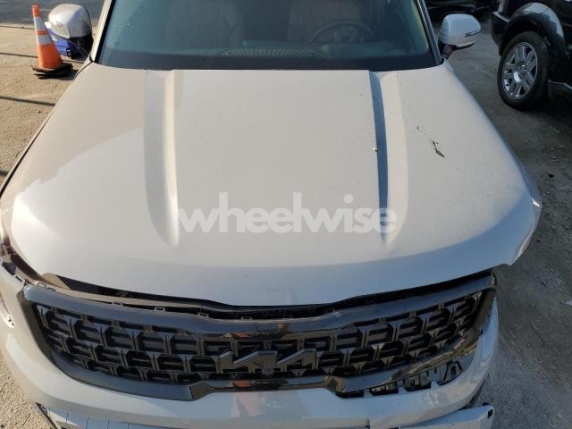 Photo 5 of 2025 KIA TELLURIDE SX (VIN 5XYP5DGC2SG655989)