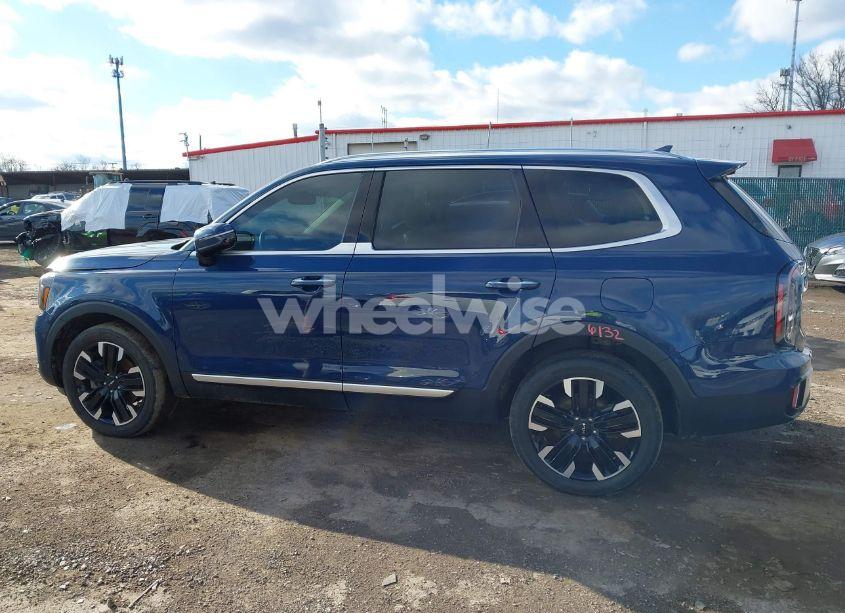 Photo 14 of 2023 Kia Telluride SX (VIN 5XYP5DGC3PG366269)