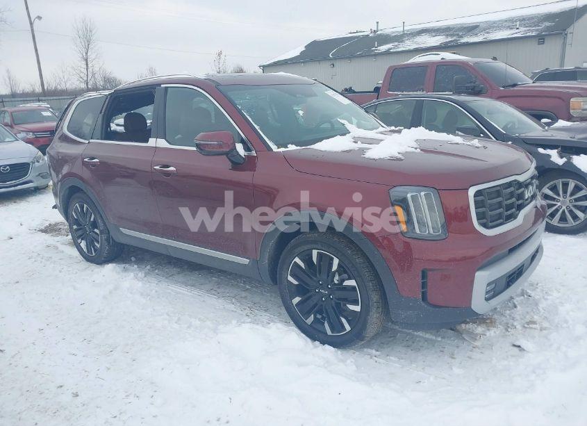 2023 Kia Telluride SX PRESTIGE (VIN 5XYP5DGC3PG366935) main photo