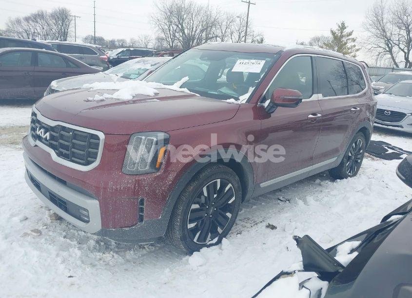 Photo 2 of 2023 Kia Telluride SX PRESTIGE (VIN 5XYP5DGC3PG366935)