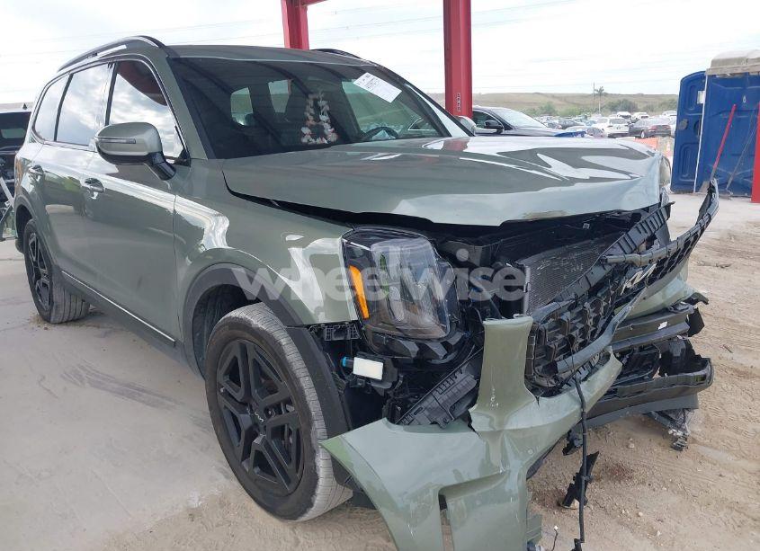 2024 Kia Telluride SX X-LINE (VIN 5XYP5DGC3RG439093) main photo