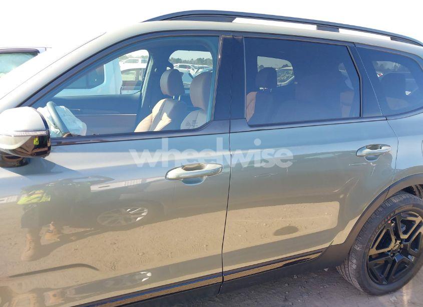 Photo 15 of 2025 Kia Telluride SX X-LINE (VIN 5XYP5DGC3SG615484)