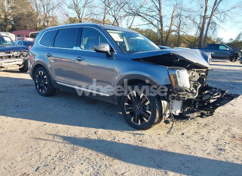 2023 Kia Telluride SX (VIN 5XYP5DGC4PG338190) main photo