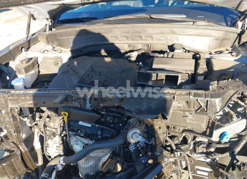 Photo 10 of 2023 Kia Telluride SX (VIN 5XYP5DGC4PG338190)