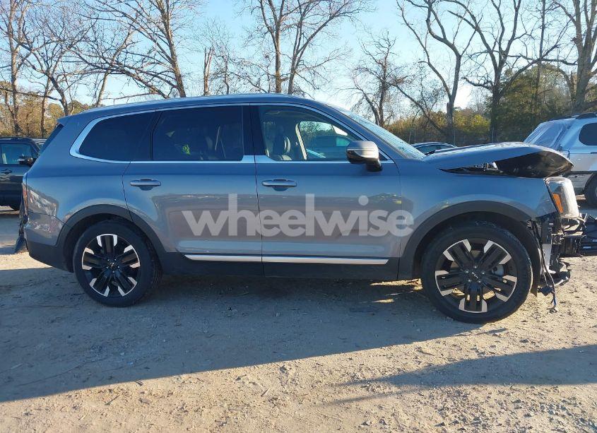 Photo 14 of 2023 Kia Telluride SX (VIN 5XYP5DGC4PG338190)