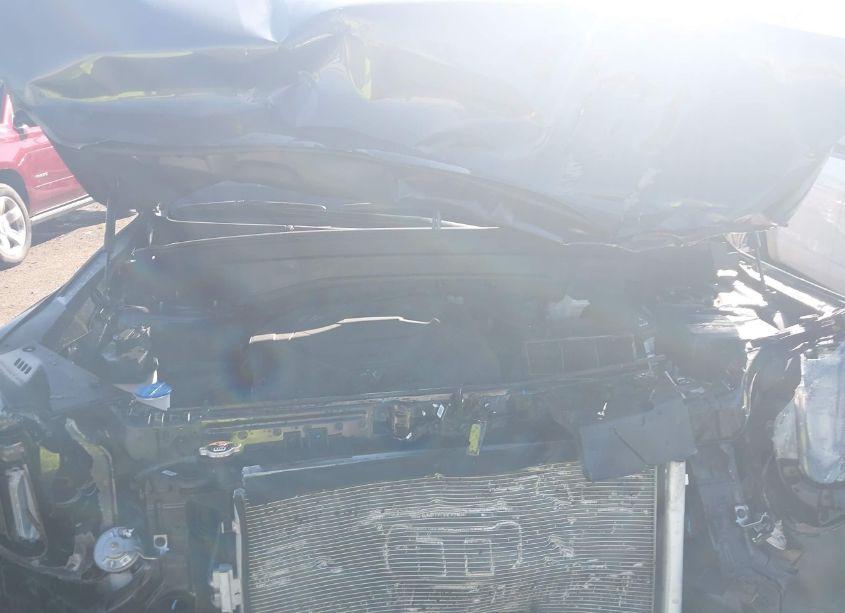 Photo 10 of 2024 Kia Telluride SX PRESTIGE X-LINE (VIN 5XYP5DGC4RG418236)