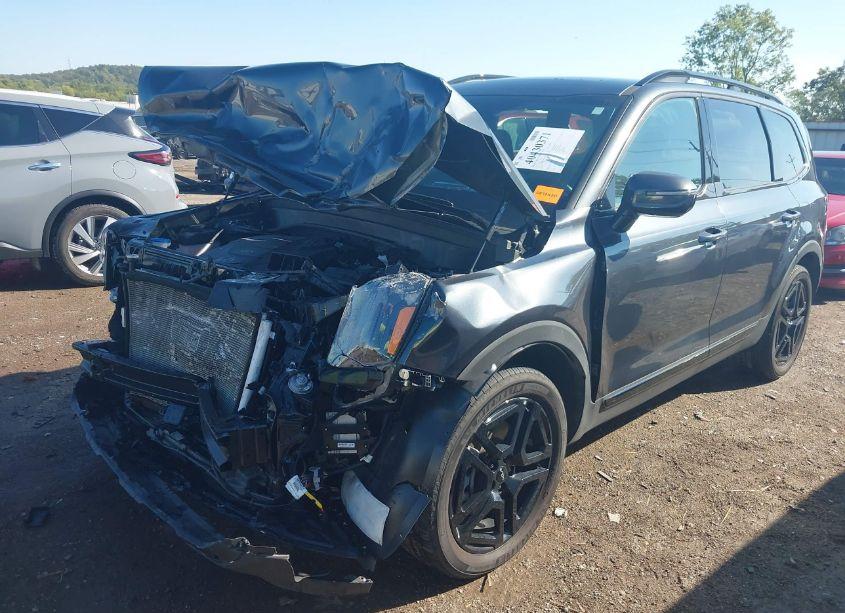 Photo 2 of 2024 Kia Telluride SX PRESTIGE X-LINE (VIN 5XYP5DGC4RG418236)