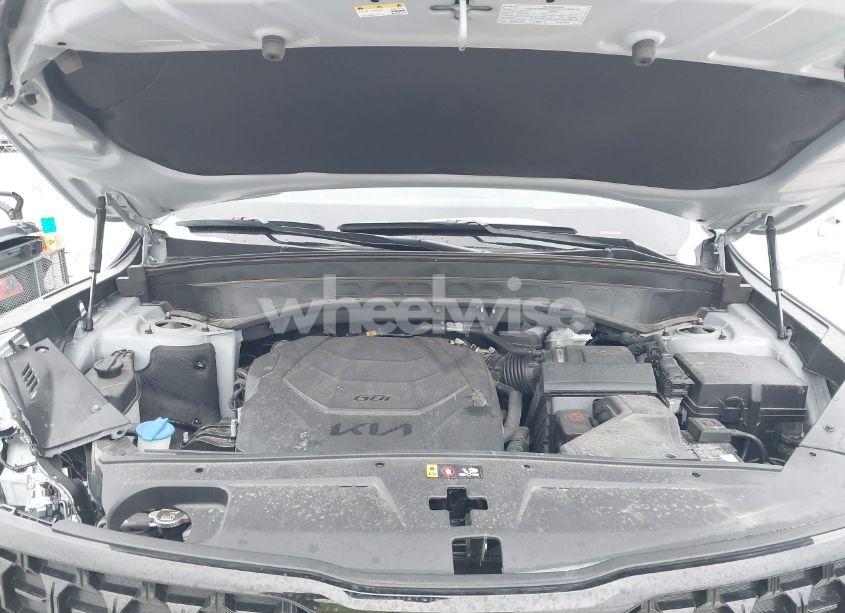 Photo 10 of 2024 Kia Telluride SX PRESTIGE X-LINE (VIN 5XYP5DGC4RG427373)