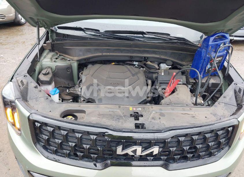 Photo 10 of 2024 Kia Telluride SX X-PRO (VIN 5XYP5DGC4RG448742)