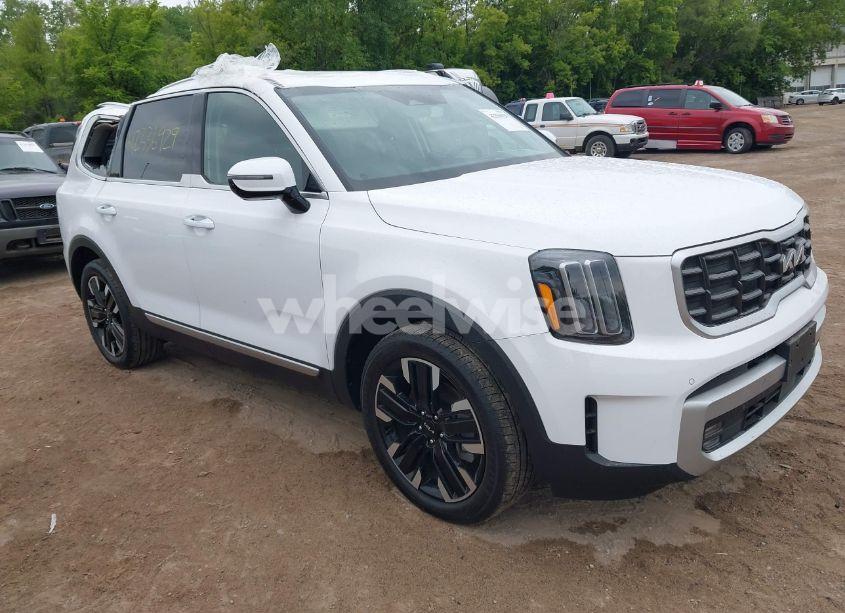 2024 Kia Telluride SX PRESTIGE (VIN 5XYP5DGC4RG486441) main photo