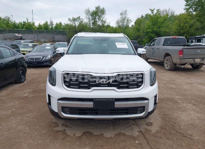 Photo 12 of 2024 Kia Telluride SX PRESTIGE (VIN 5XYP5DGC4RG486441)