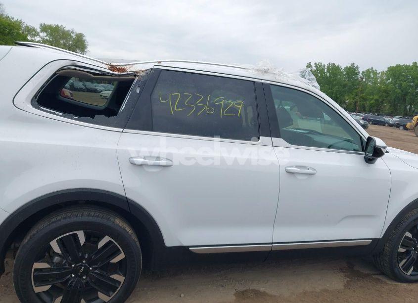 Photo 13 of 2024 Kia Telluride SX PRESTIGE (VIN 5XYP5DGC4RG486441)