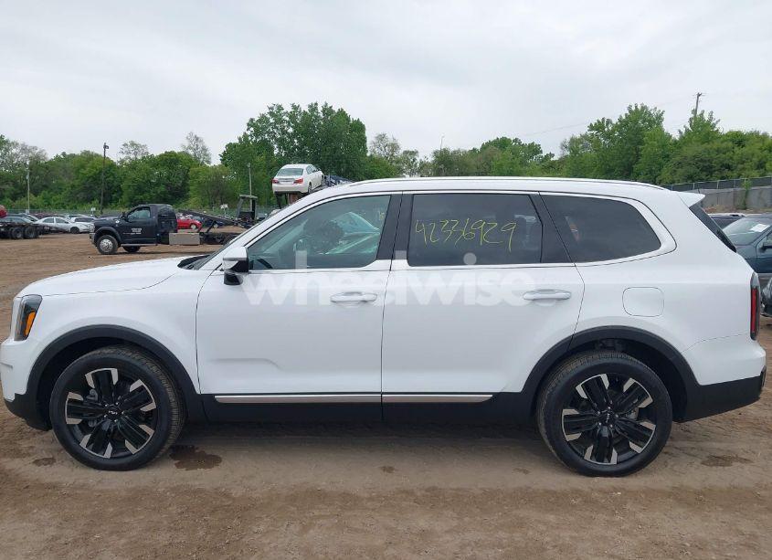 Photo 14 of 2024 Kia Telluride SX PRESTIGE (VIN 5XYP5DGC4RG486441)