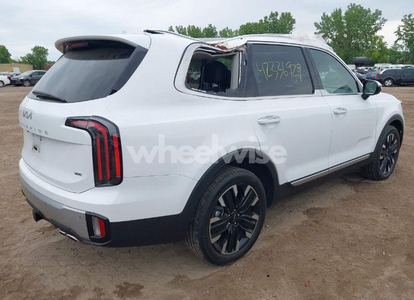 Photo 4 of 2024 Kia Telluride SX PRESTIGE (VIN 5XYP5DGC4RG486441)