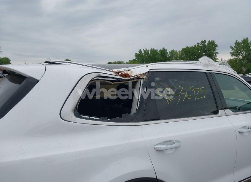 Photo 6 of 2024 Kia Telluride SX PRESTIGE (VIN 5XYP5DGC4RG486441)