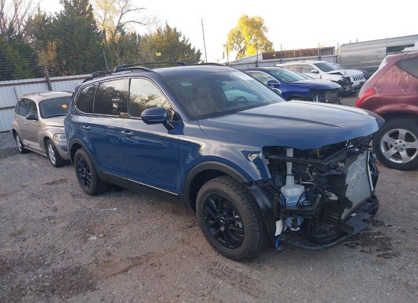 2024 Kia Telluride SX PRESTIGE X-PRO (VIN 5XYP5DGC4RG507031) main photo