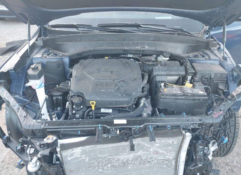 Photo 10 of 2024 Kia Telluride SX PRESTIGE X-PRO (VIN 5XYP5DGC4RG507031)