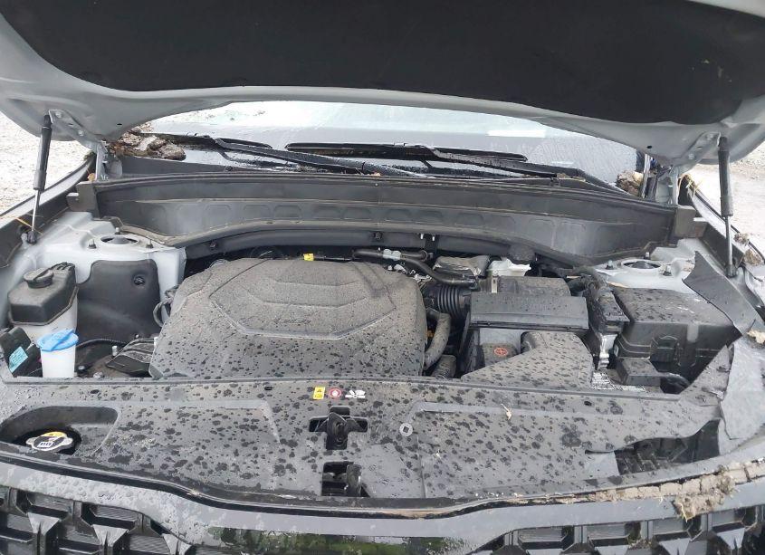 Photo 10 of 2024 Kia Telluride SX PRESTIGE X-LINE (VIN 5XYP5DGC4RG511631)