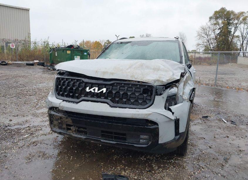 Photo 6 of 2024 Kia Telluride SX PRESTIGE X-LINE (VIN 5XYP5DGC4RG511631)
