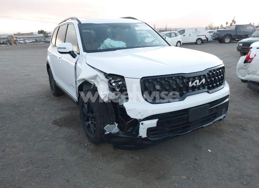2024 Kia Telluride SX PRESTIGE X-PRO (VIN 5XYP5DGC5RG481698) main photo