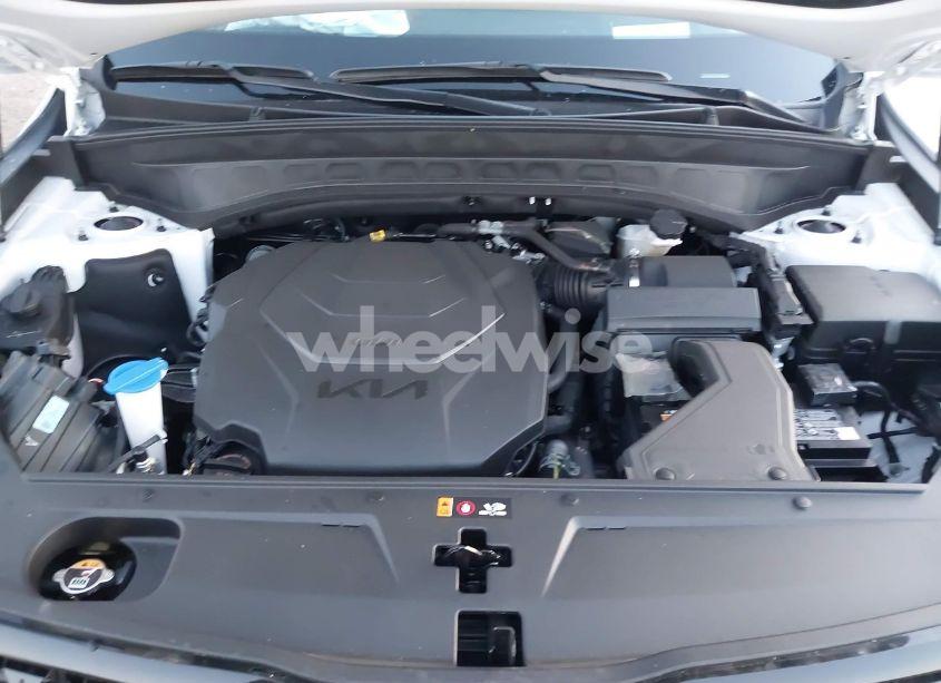 Photo 10 of 2024 Kia Telluride SX PRESTIGE X-PRO (VIN 5XYP5DGC5RG481698)