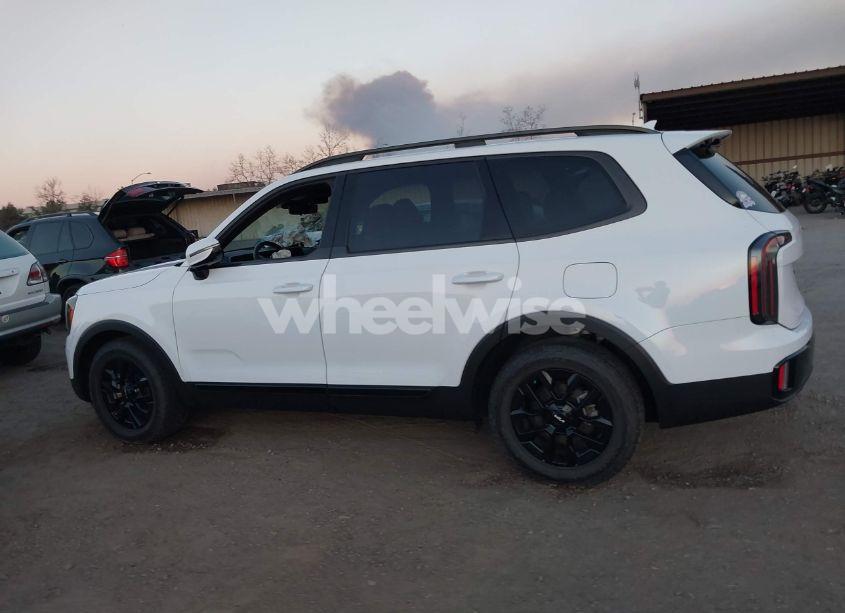 Photo 14 of 2024 Kia Telluride SX PRESTIGE X-PRO (VIN 5XYP5DGC5RG481698)