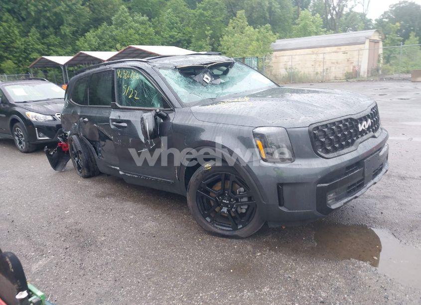 2024 Kia Telluride SX X-LINE (VIN 5XYP5DGC5RG505157) main photo