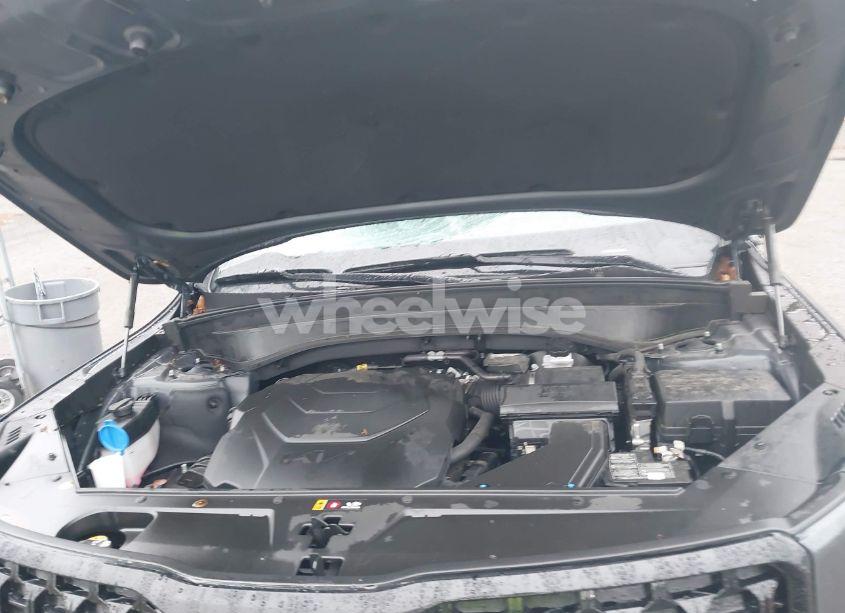 Photo 10 of 2024 Kia Telluride SX X-LINE (VIN 5XYP5DGC5RG505157)