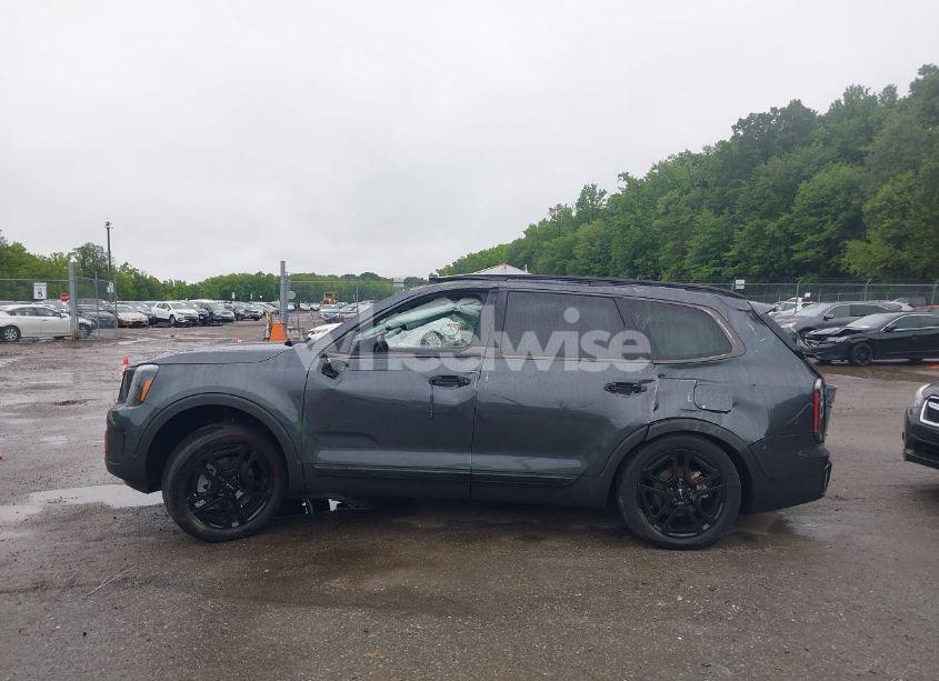 Photo 14 of 2024 Kia Telluride SX X-LINE (VIN 5XYP5DGC5RG505157)